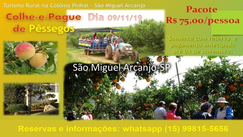 Turismo Rural Colhe-e-Pague de Pêssegos - 09/11/2019 - Colônia Pinhal - São Miguel Arcanjo-SP
